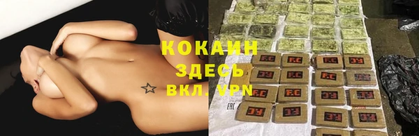 прущие грибы Балахна