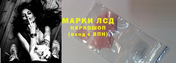 прущие грибы Балахна