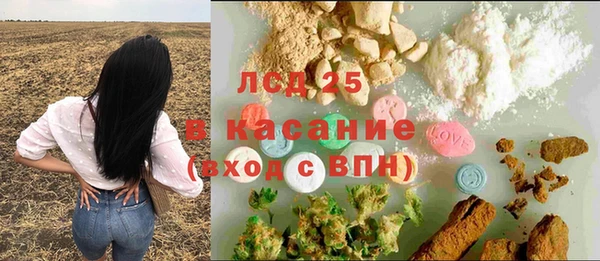 прущие грибы Балахна