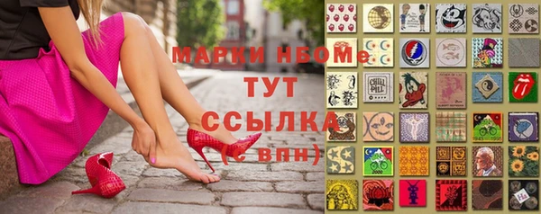 прущие грибы Балахна