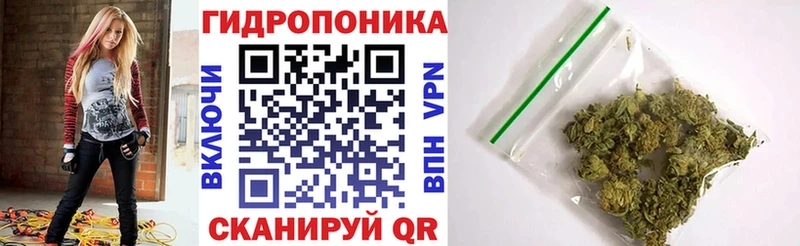 Каннабис White Widow Красный Холм